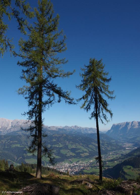 Hinterburgschwaig Hof