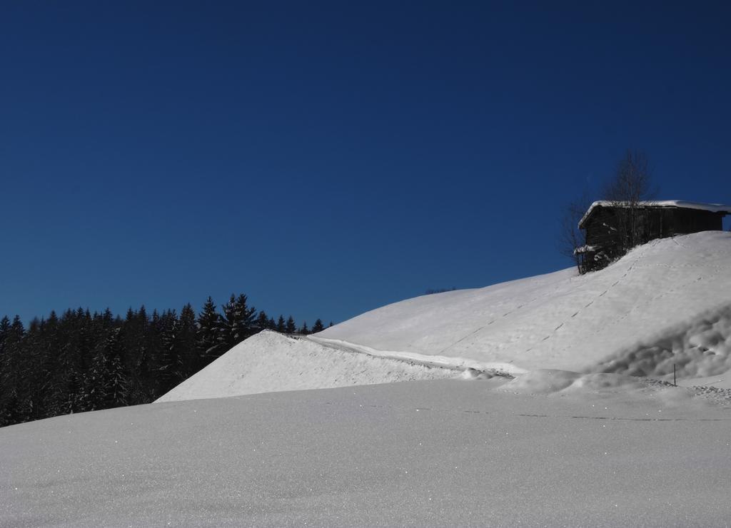 Hinterburgschwaig Hof Apartment Sankt Johann im Pongau